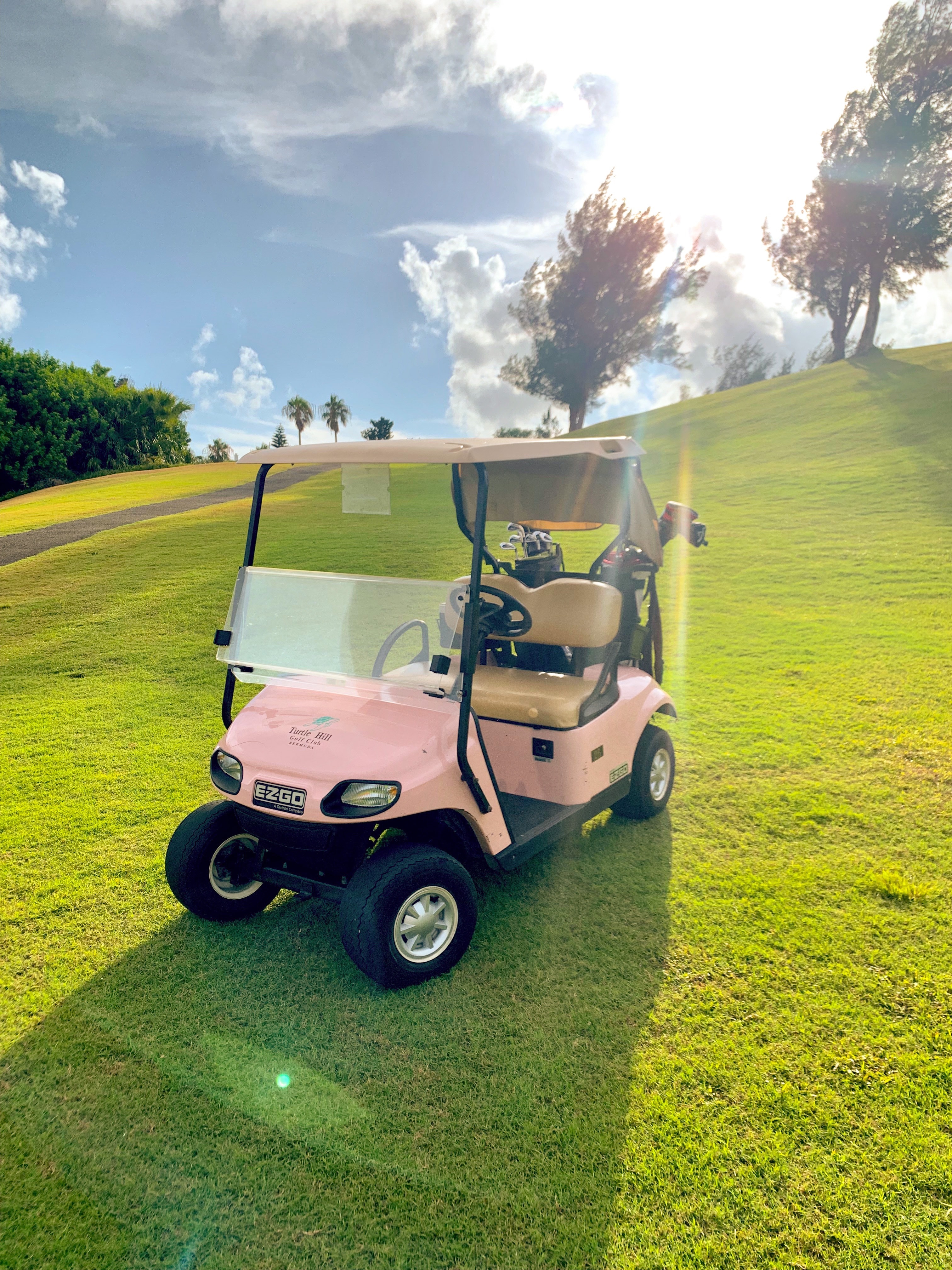 Pink Golf Cart | MP.photo